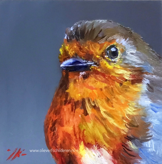 Vogelportretten op klein formaat in olieverf van Joke Klootwijk te Middelburg. Ook workshops in aquarel, olieverf, acryl of pastel.
